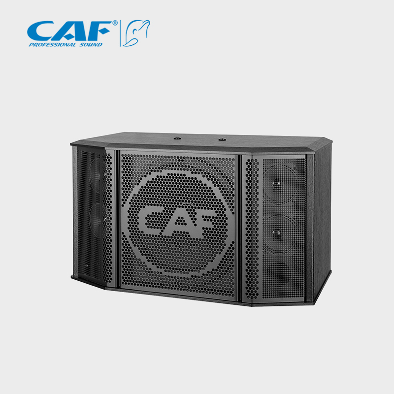CAF卡福會議音箱專業(yè)KTV音響10寸卡包音箱家庭KTV音響